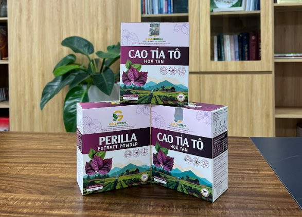 Tất tần tật thông tin về tía tô và cao tía tô hòa tan(Gold HerBal)-Giải pháp sức khỏe từ thiên nhiên